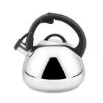 Чайник із свистком для всіх видів плит 3л Con Brio CB-415