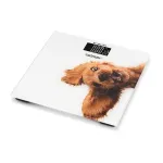 Ваги підлогові  Zelmer ZBS1010 Crazy dog