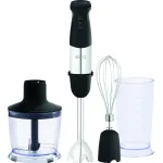 Блендер занурювальний  ECG RM 750